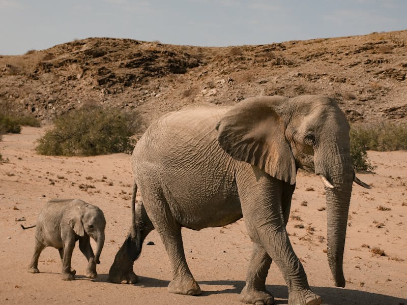 pexels-photo-18199980-1