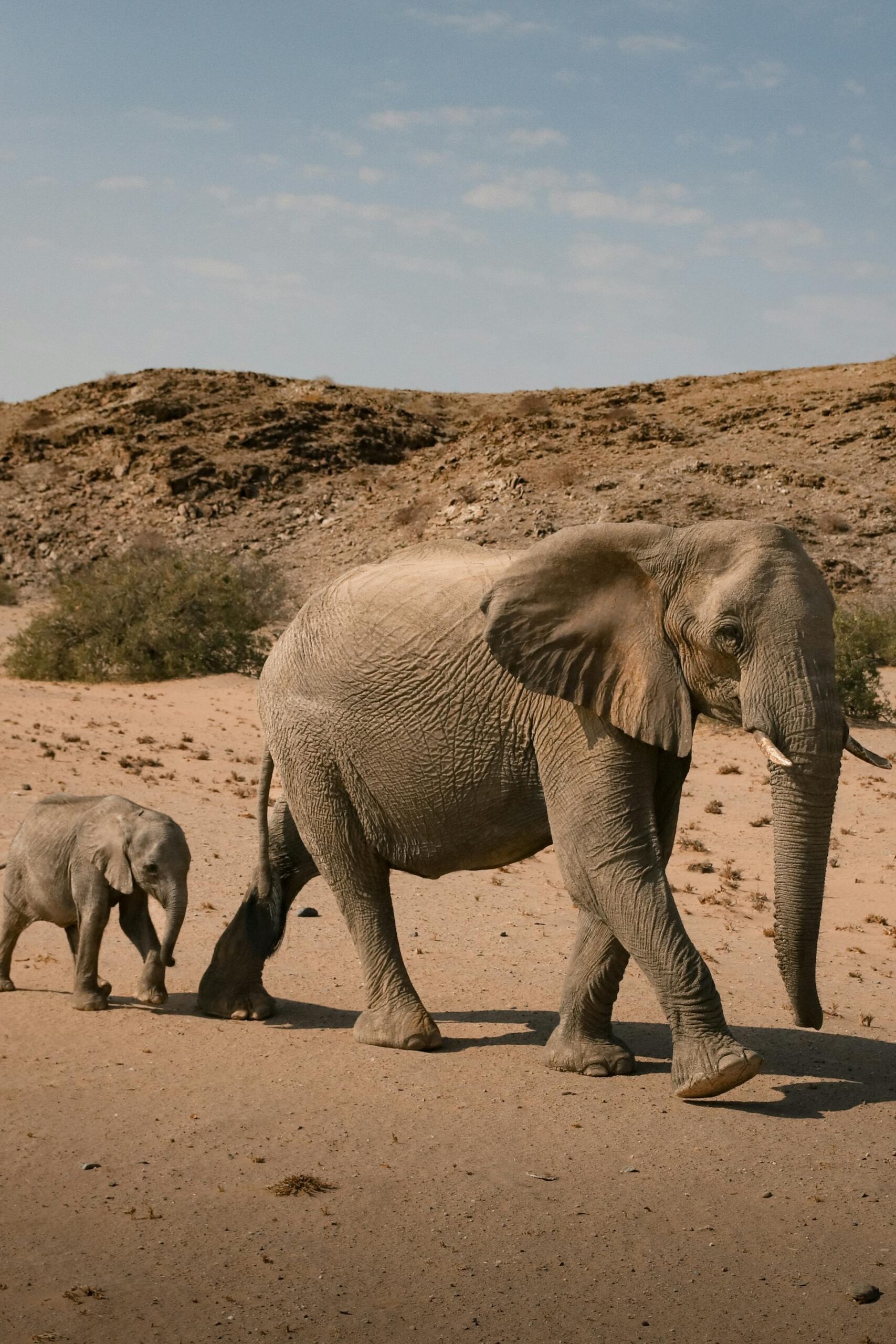 pexels-photo-18199980